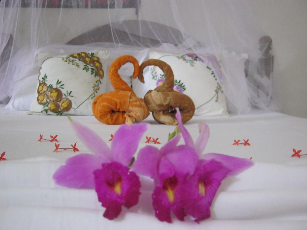 Arcade Beach Hotel Bentota Phòng bức ảnh