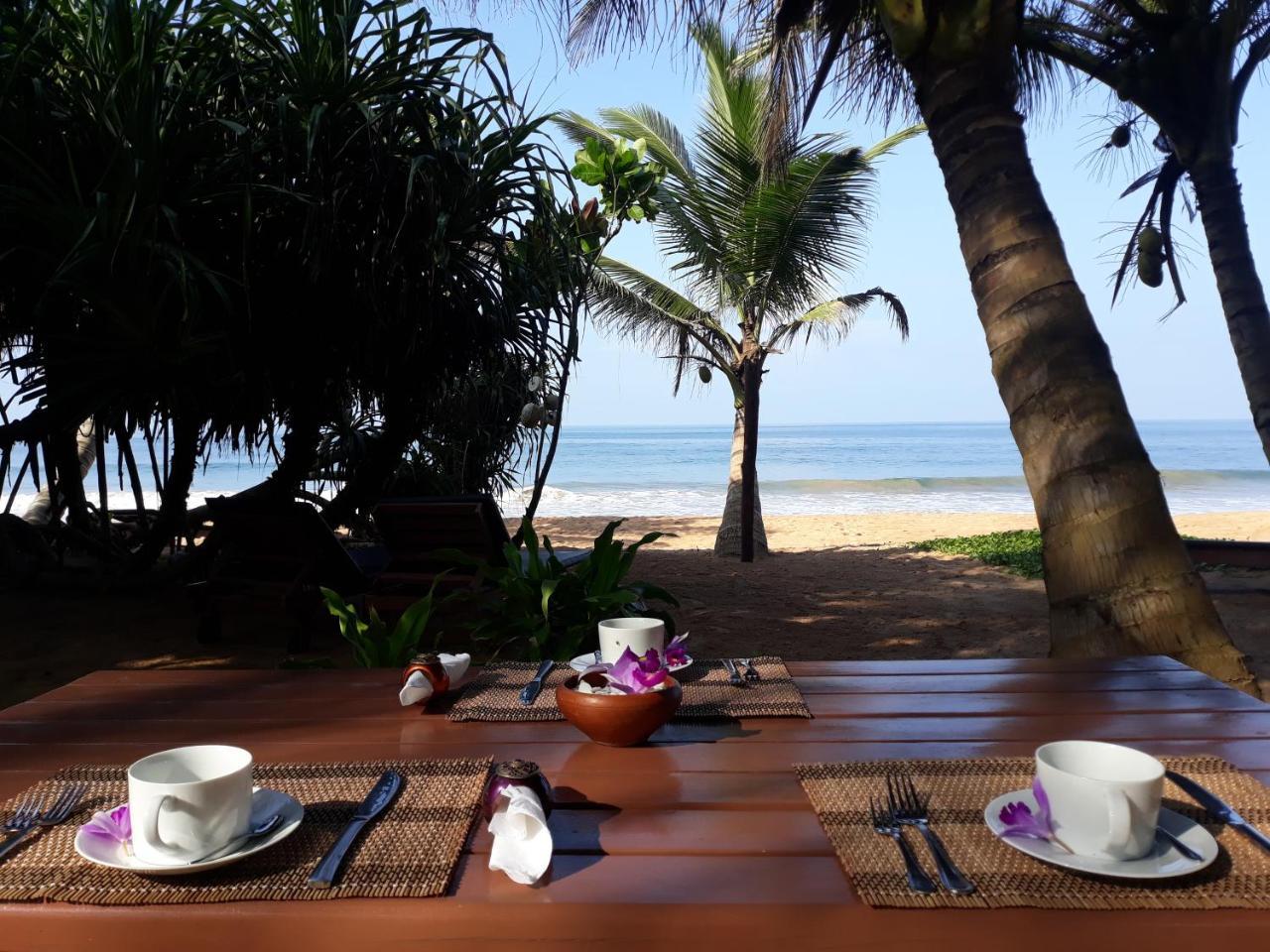 Arcade Beach Hotel Bentota Ngoại thất bức ảnh